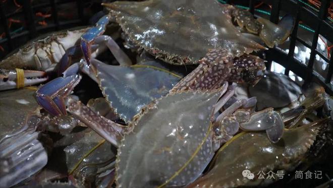 买梭子蟹别只会挑大的！渔民：教你3个彩神小妙招个个“顶盖肥”(图1)