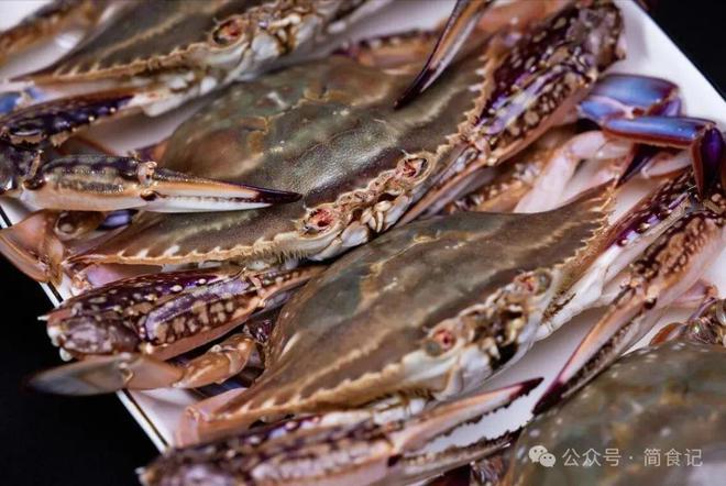 买梭子蟹别只会挑大的！渔民：教你3个彩神小妙招个个“顶盖肥”(图4)