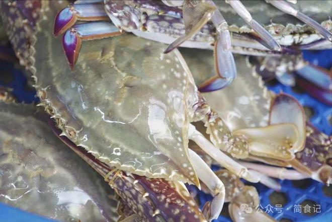 买梭子蟹别只会挑大的！渔民：教你3个彩神小妙招个个“顶盖肥”(图6)