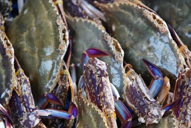 买梭子蟹别只会挑大的！渔民：教你3个彩神小妙招个个“顶盖肥”(图8)