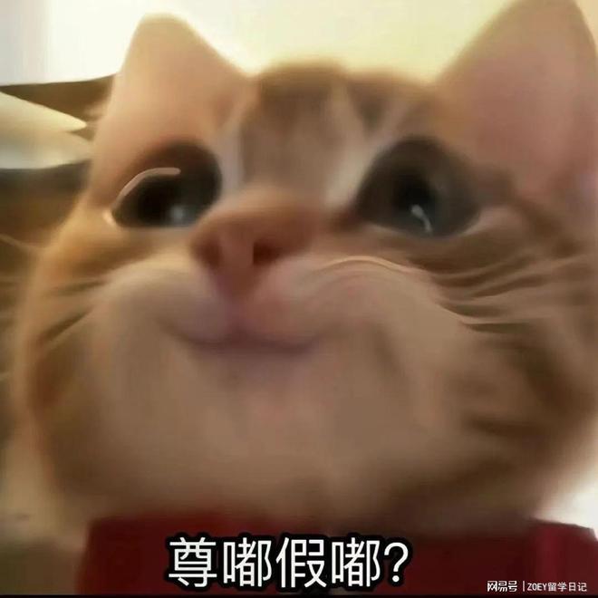 无忧留学为你揭秘澳洲留学省钱妙招！25fall必看秘籍！(图1)