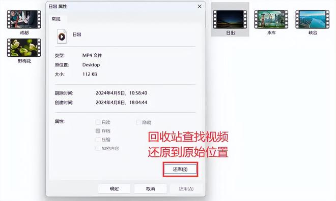 彩神电脑如何找回删除的视频？5个小妙招【恢复攻略】(图4)